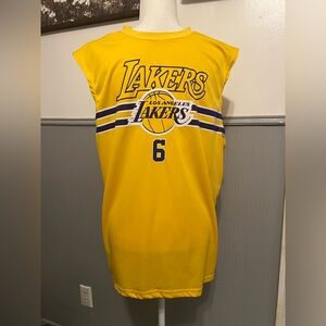 NBA LA LAKERS LEBRON JAMES 6 JERSEY / Large / Sleeveless Tank Top / Athletic